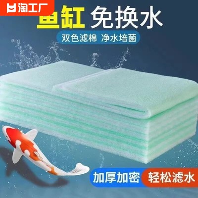 網(wǎng)絡(luò)爆款魚缸 從智能生態(tài)到家居美學(xué)的消費(fèi)新潮流