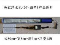魚族夢(mèng)境的玻璃匣 在華工科技的服務(wù)王國中構(gòu)建生活生態(tài)