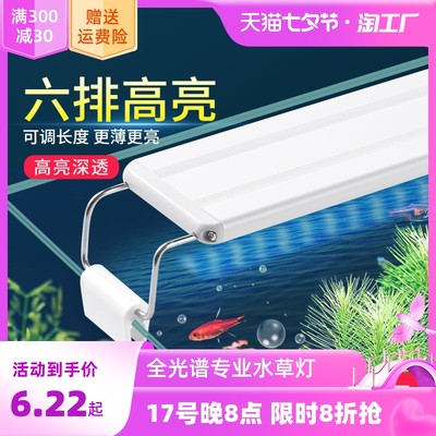 探秘網(wǎng)購熱潮下的流行魚缸 小世界中的大樂趣